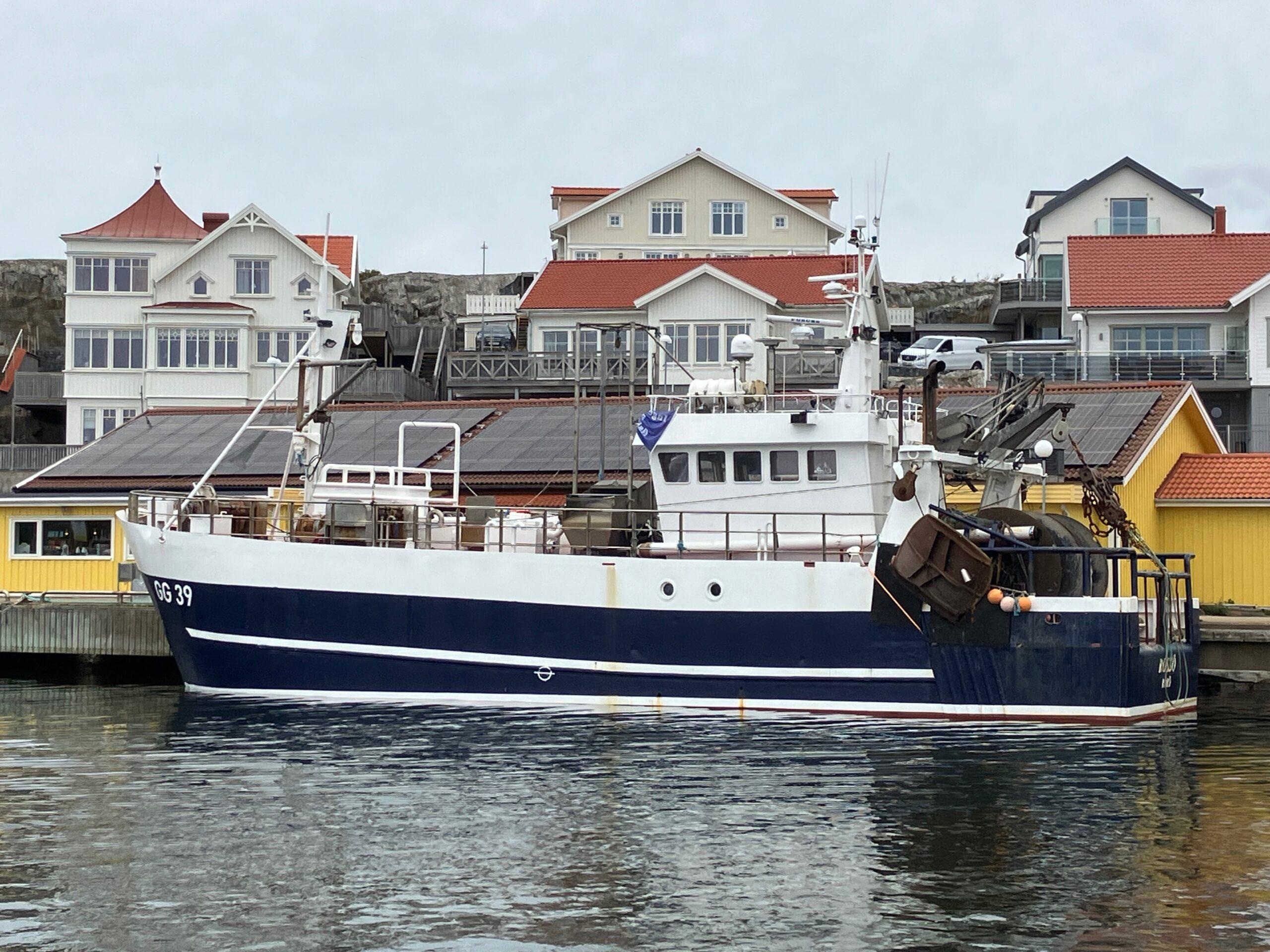 GG 39 Rossö